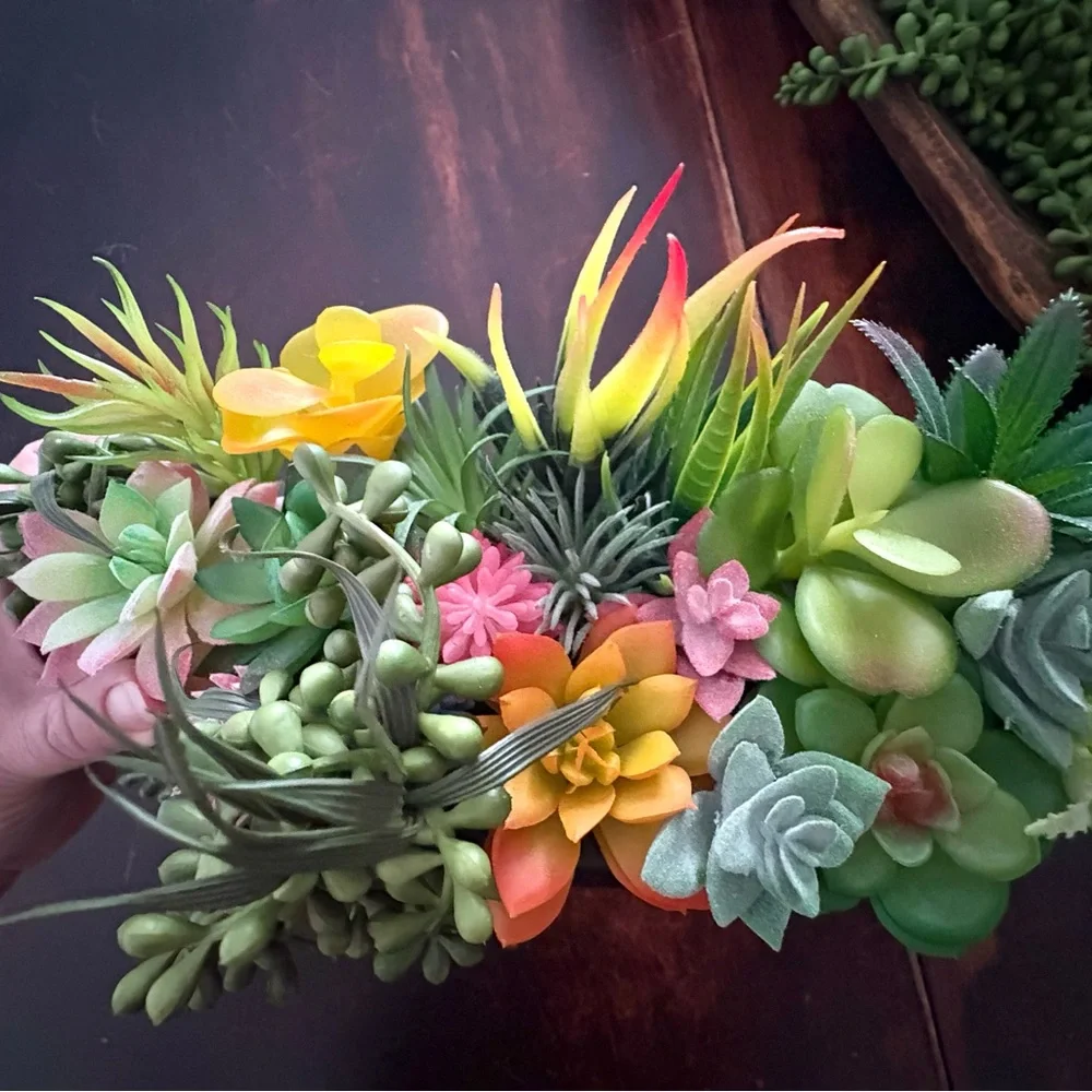 Succulent Arrangement in Black ceramic Bowl for wall
